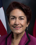 Ana Caballero, Chair